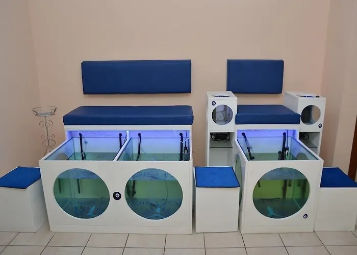 Hotel Kleopatra Dreams Alanya