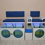 Otel Kleopatra Dreams Alanya